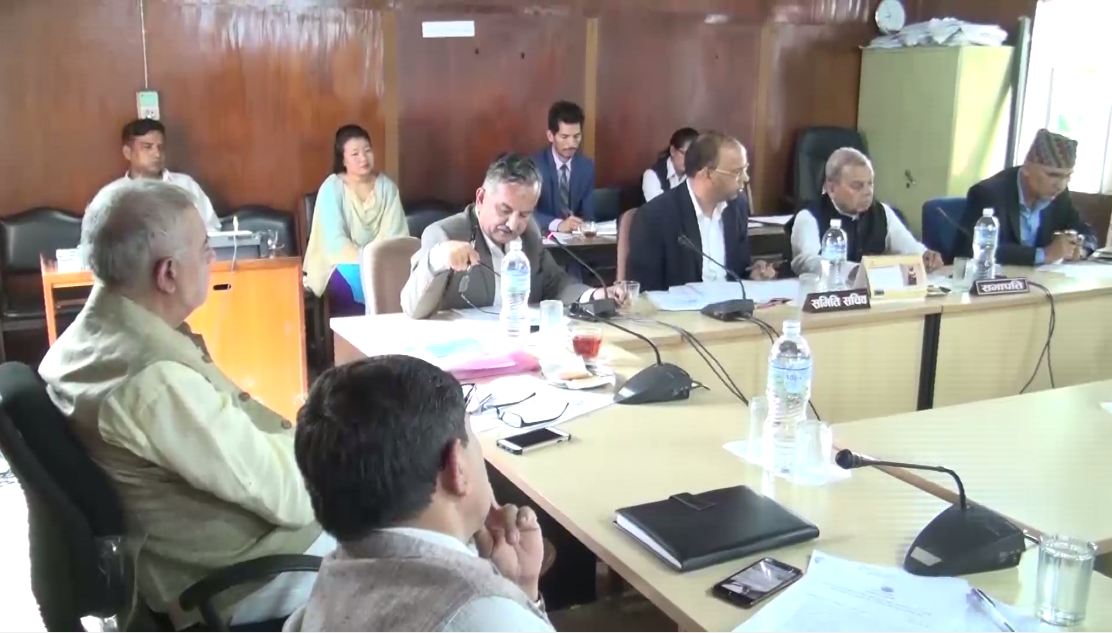 अर्थ समितिकाे सरकारलार्इ निर्देशनः दशैँमा उपभोक्तालाई सुपथ मूल्यका वस्तु उपलब्ध गराऊ