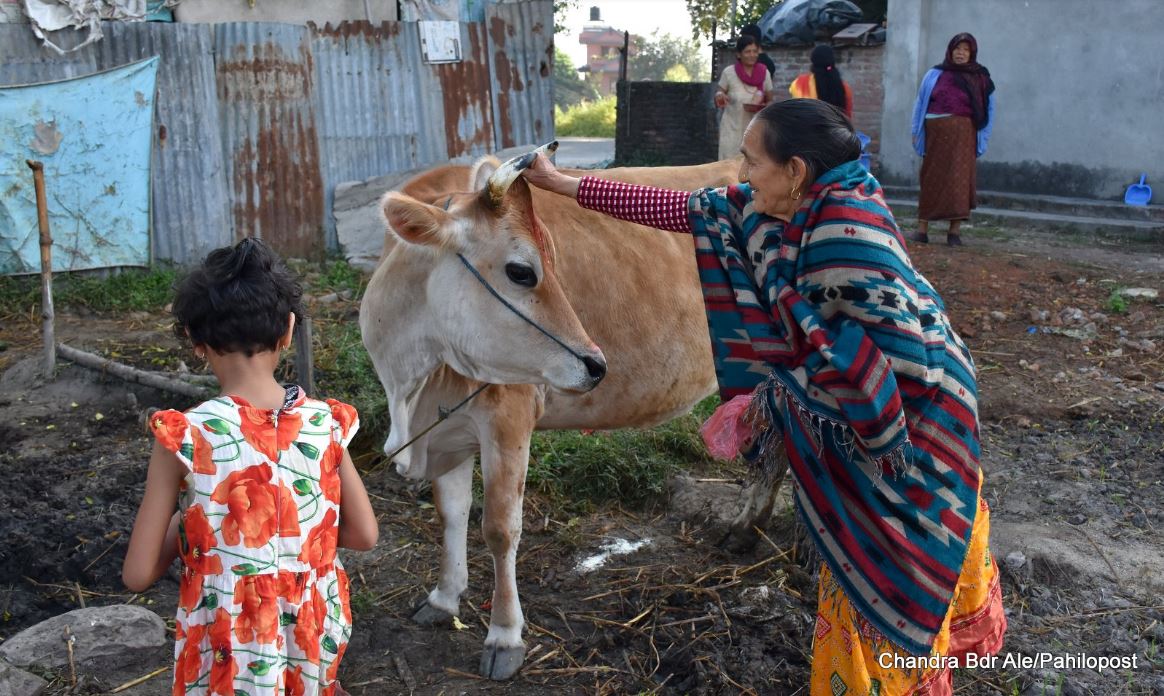 यमपञ्चकको चौथो दिन आज गोवर्द्धन पूजा