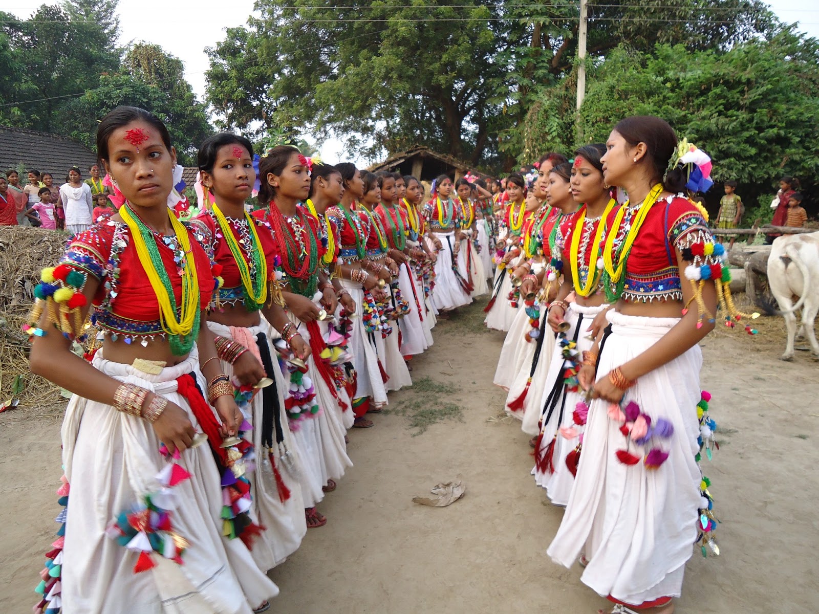 थारु समुदाय बरका अटवारी (आइतबारी) पर्व मनाउँदै