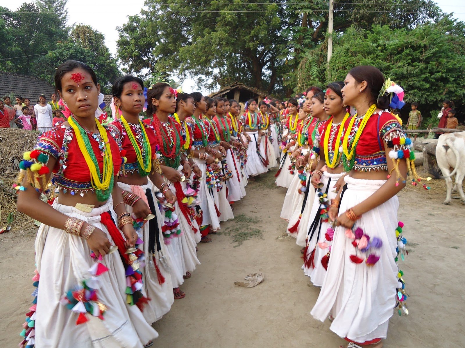 पश्चिम तराईका थारु अटवारी पर्व मनाउँदै, दिदीबहिनीको सौभाग्यका लागि ब्रत बस्छन् दाजुभाइ