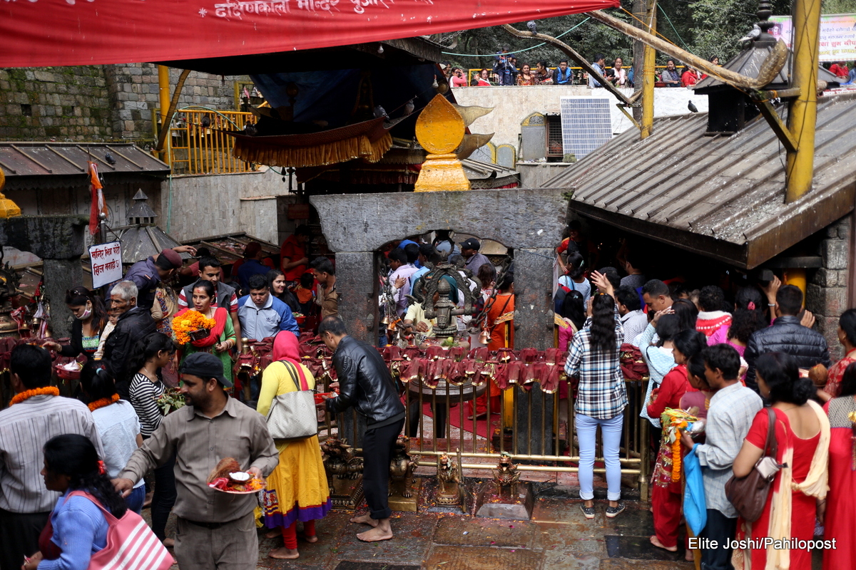 आज बडादसैंको सप्तमी, घरघरमा फूलपाती भित्र्याइँदै