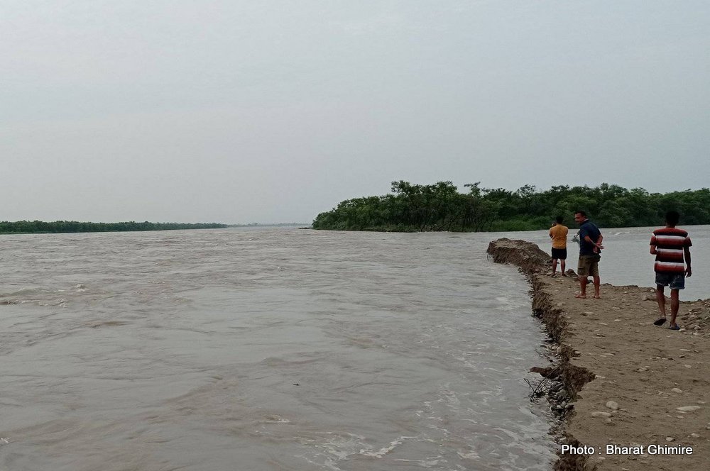 कोशी नदीको भँगालो बस्तीमा पस्यो, बेलका नगरपालिकाका वडाहरु डुबानमा