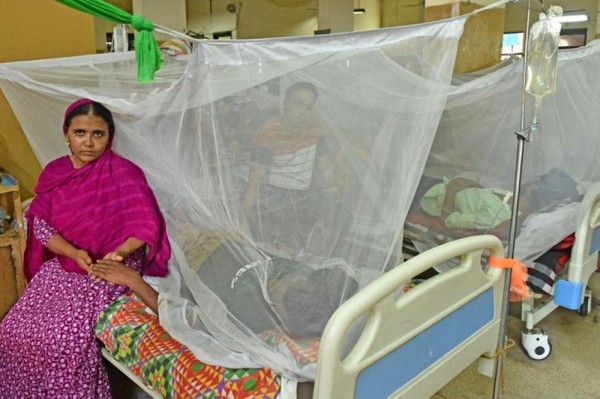 बंगलादेशमा डेंगुका कारण ४० जनाको मृत्यु