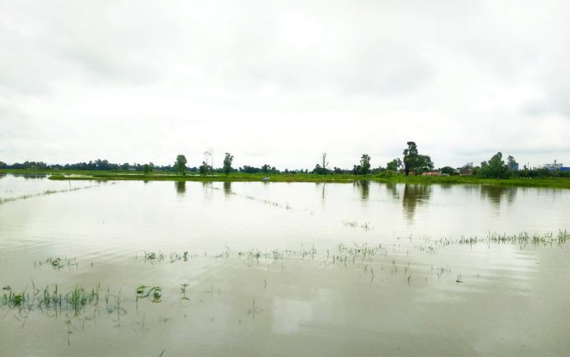 बाढी पीडितलाई उद्धार गर्न पर्सामा ७ सय सुरक्षाकर्मी ‘स्ट्यान्डबाई’, राहतको लागि पालिकासँग समन्वय