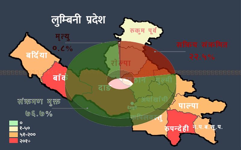 लुम्बिनी प्रदेश : १०४ संक्रमितको मृत्यु, झन्डै ३ हजार एक्टिभ केस