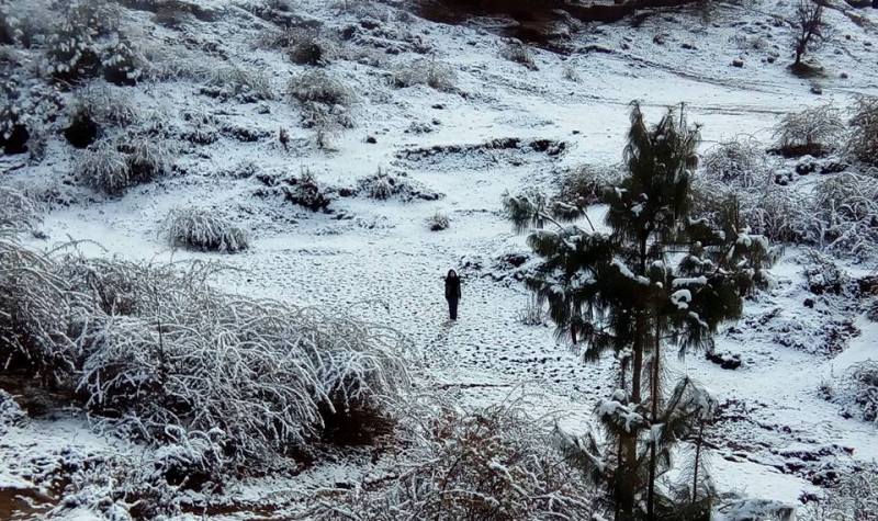 सोलुको माथिल्लो भेगमा भारी हिमपात, चिसो बढेसँगै ४५ दिनका लागि विद्यालय बन्द