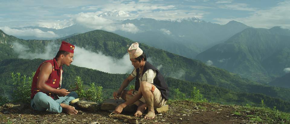 पुस ८ बाट हलमा लाग्दैछ 'साया'