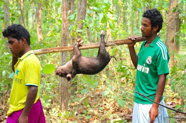 आदिवासी सन्थाल भाषामा बन्यो 'बोनोदल' फिल्म, ट्रेलर सार्वजनिक