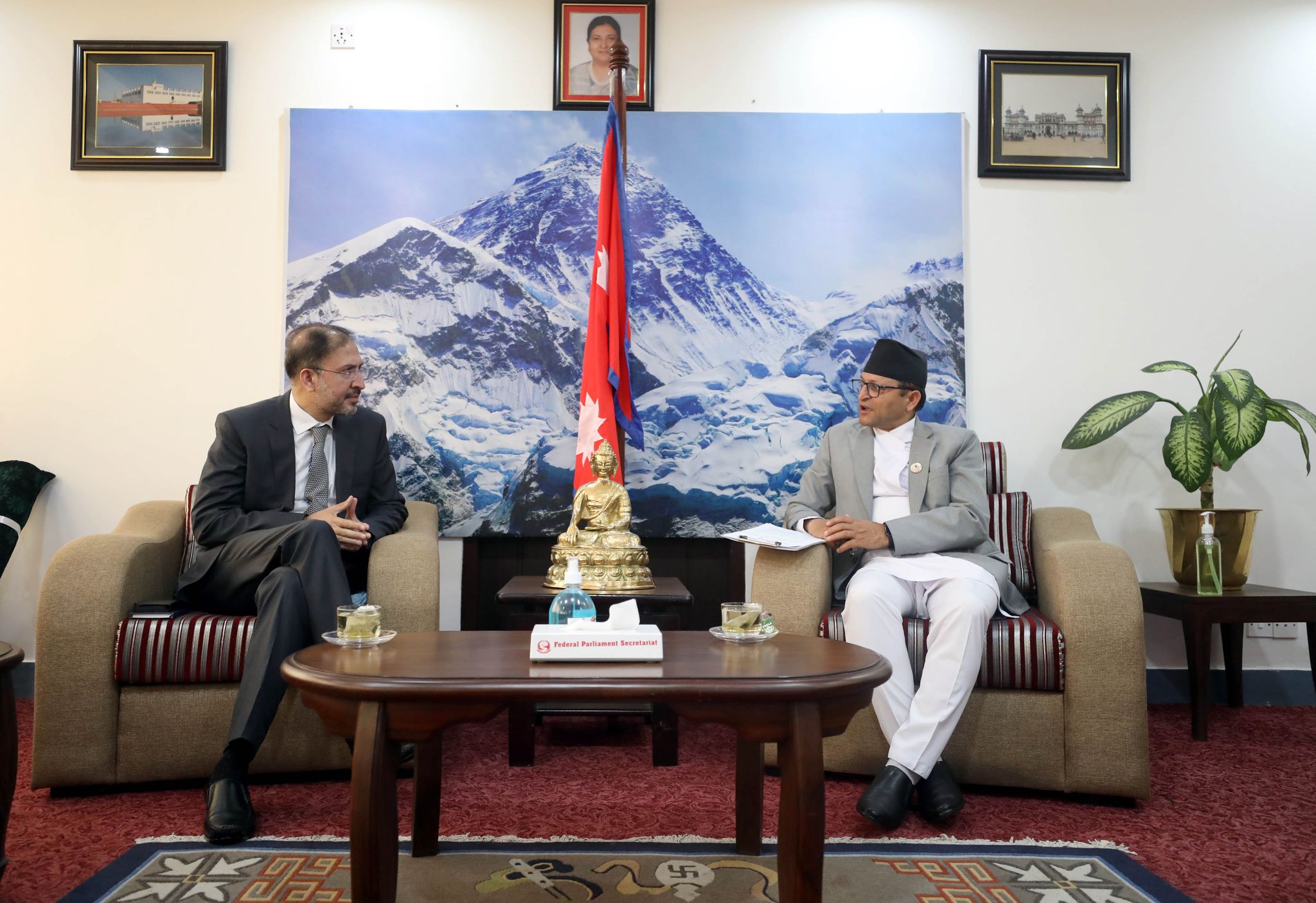 अध्यक्ष तिमिल्सिना र नवनियुक्त पाकिस्तानका राजदूतबीच शिष्टाचार भेट