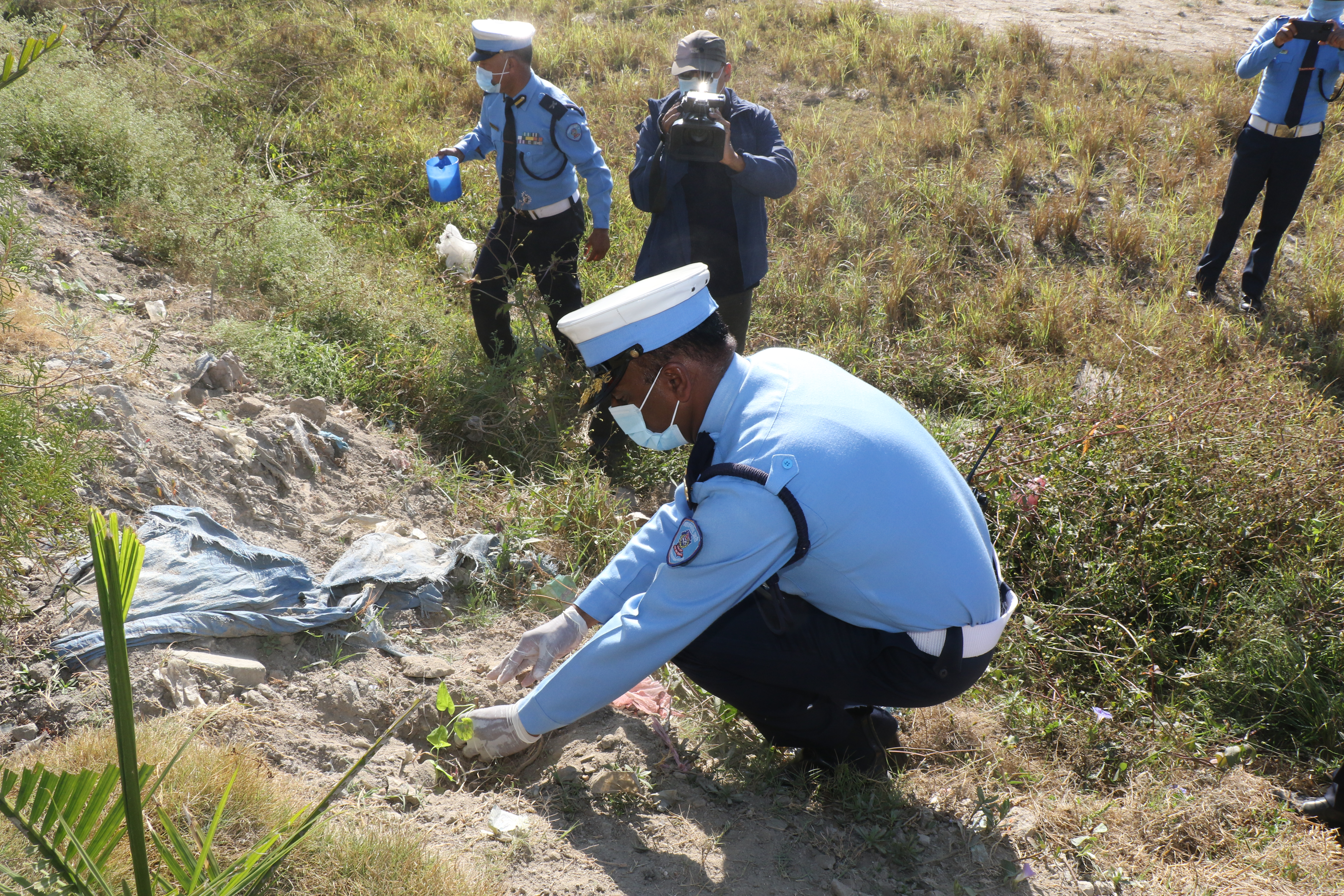 ट्राफिक प्रहरीले तीनकुनेको खाली जग्गामा १५ सय गुर्जोको बिरुवा रोप्यो