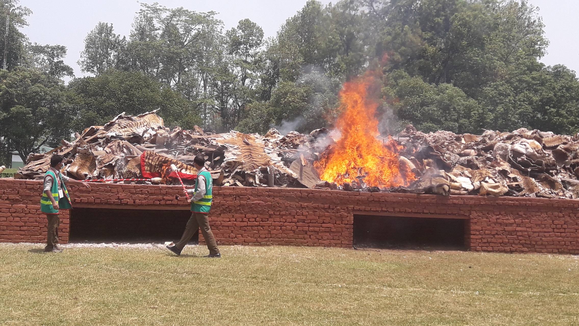 फोटोमा हेर्नुस्, यसरी जले गैँडाको खाग र बाघका छाला