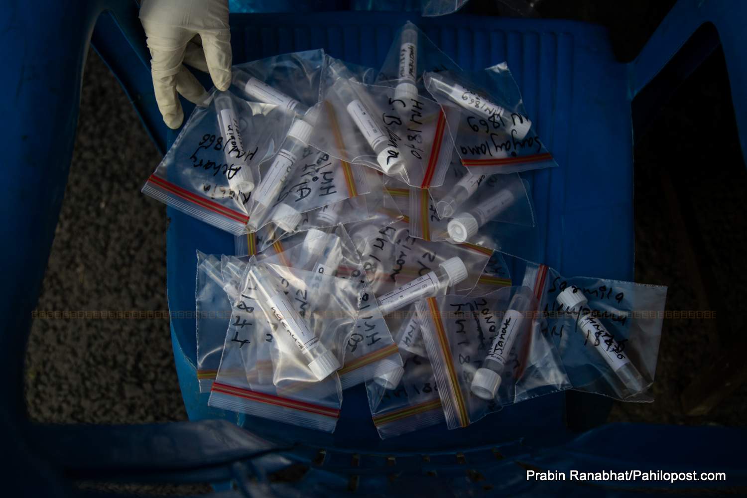 गण्डकीमा आज बिहान थपिए ३८ नयाँ कोरोना भाइरस संक्रमित