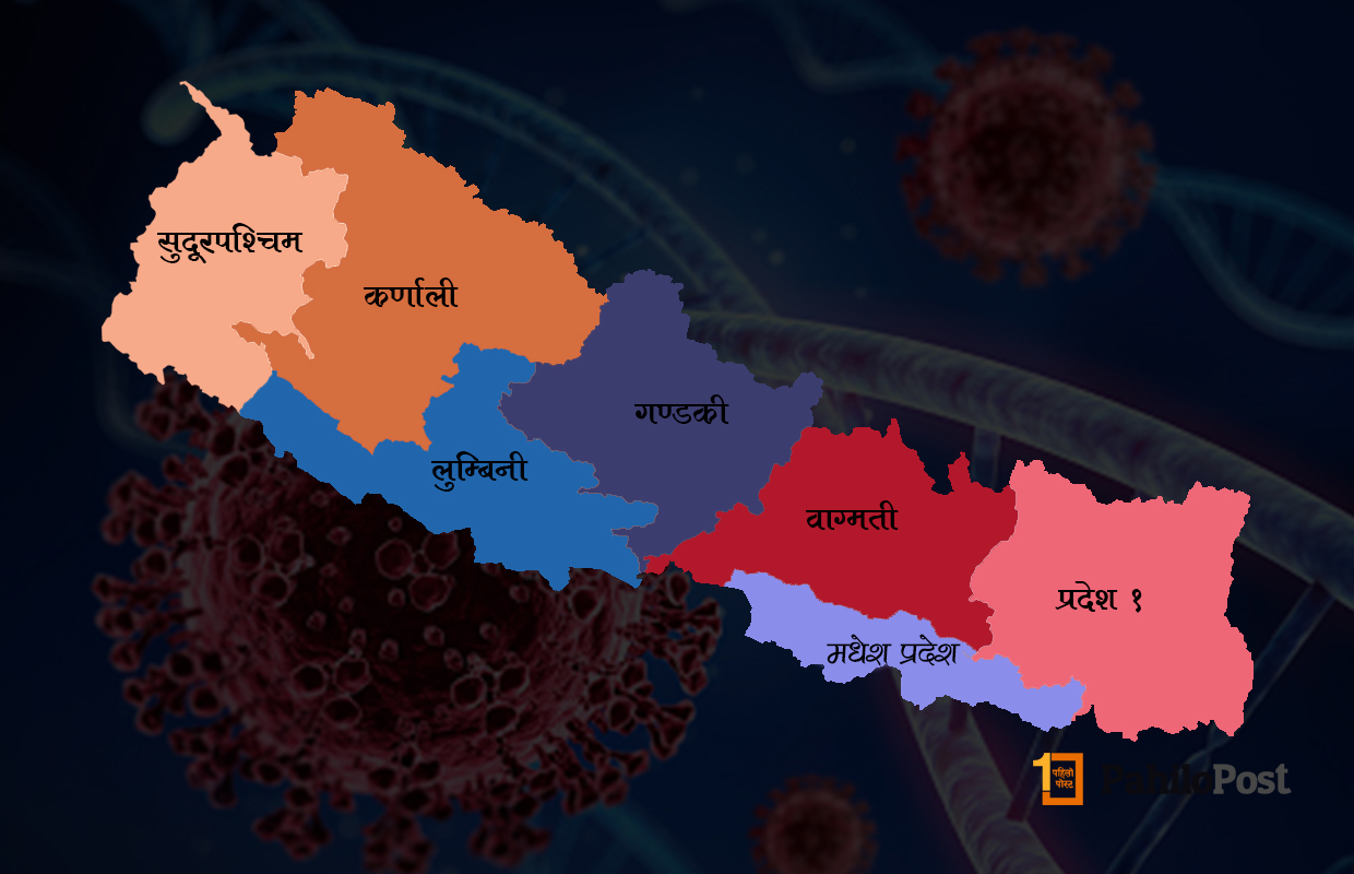 वाग्मती प्रदेशमा ७२ प्रतिशत सक्रिय कोरोना संक्रमित, अरु प्रदेशमा के छ अवस्था?