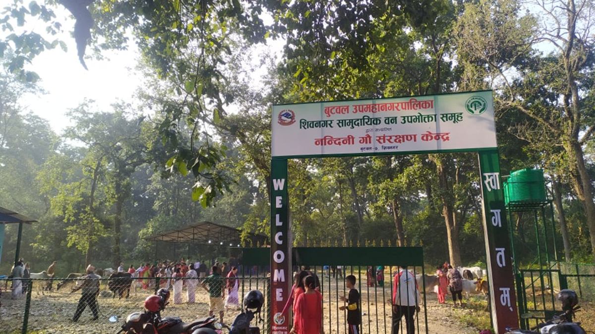 बुटवलको शिवनगर वनमा भेटियो दम्पतीको शव