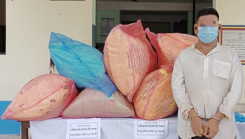 १ सय ३१ किलो गाँजासहित एक जना पक्राउ
