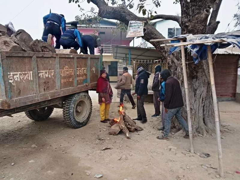 शीतलहरबाट महोत्तरीको जनजीवन प्रभावित, आगो ताप्न पालिकाले गरे दाउराको व्यवस्था