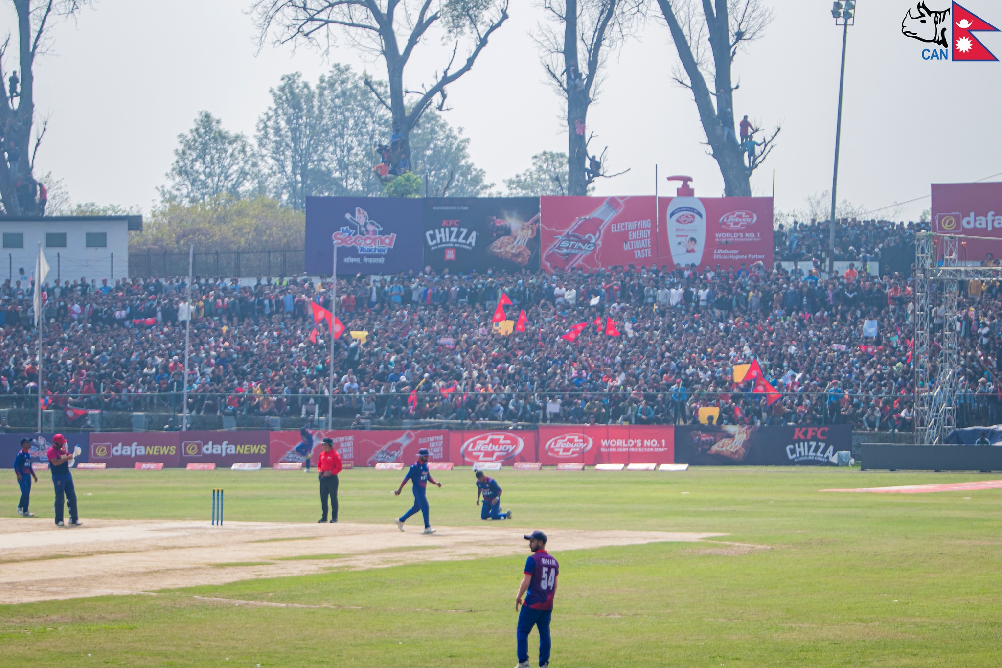 कीर्तिपुरमा क्रिकेट : युएईले कटायो २०० रन