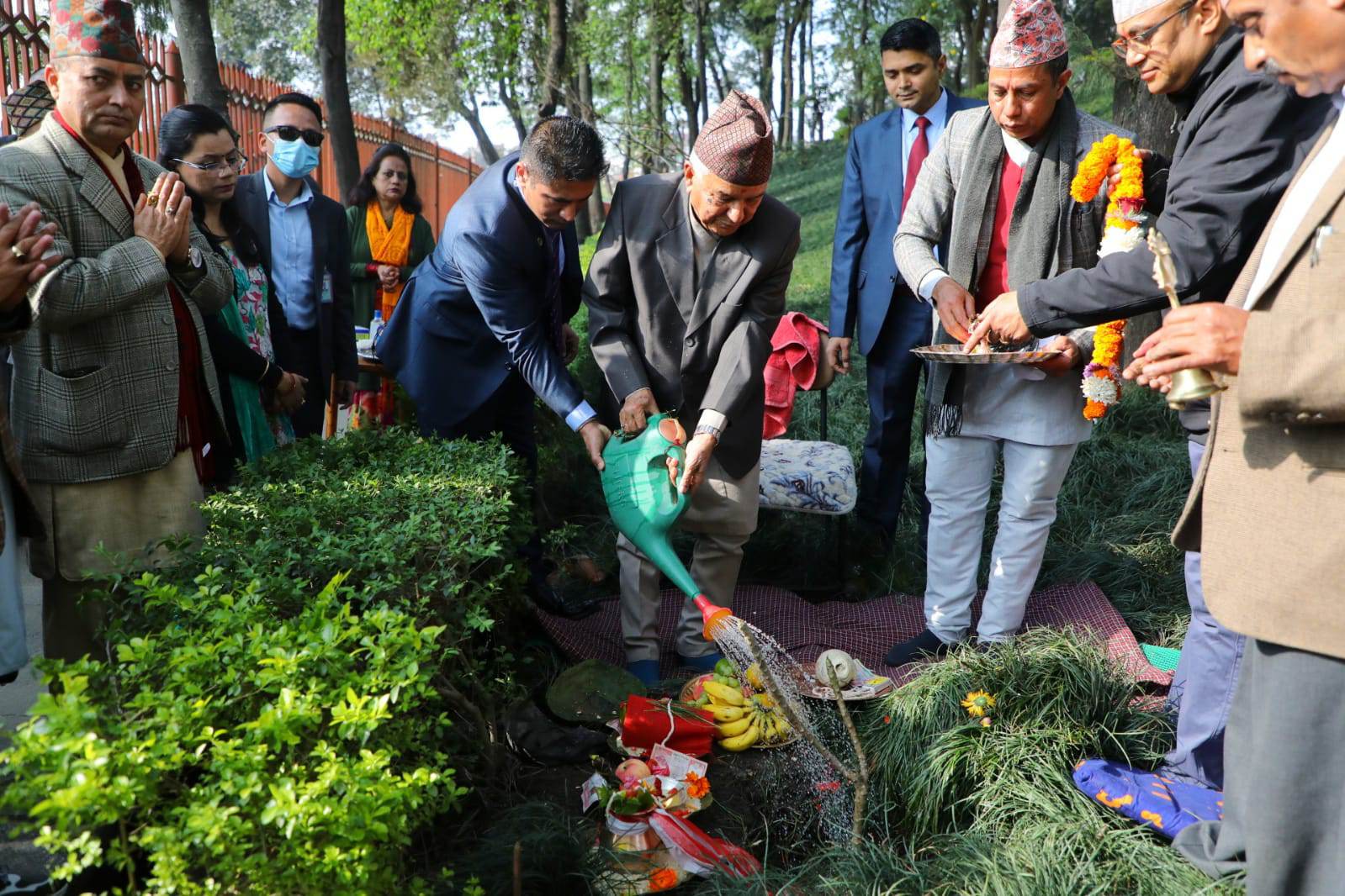 वनकाली पुगेर राष्ट्रपति पौडेलले रोपे नागचम्पा