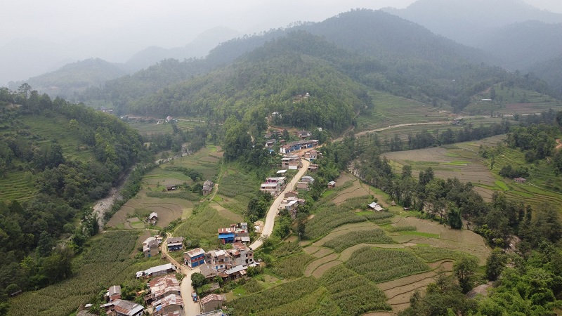 लुम्बिनी प्रदेशभर ६ लाख बढ्दा गुल्मी, पाल्पा र अर्घाखाँचीमा किन घट्यो जनसंख्या?