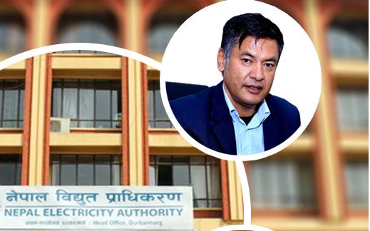 विद्युत् प्राधिकरणको निमित्त प्रमुखमा हितेन्द्रदेव शाक्य नियुक्त