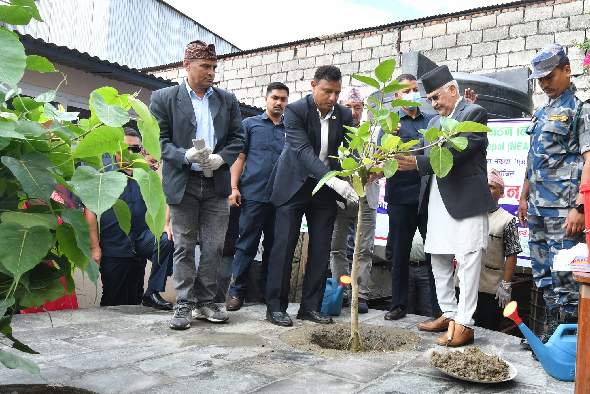 वृक्षरोपण गर्दै एमाले अध्यक्ष ओलीले भने : वृक्ष र मानवबिच अन्योन्याश्रिक सम्बन्ध छ