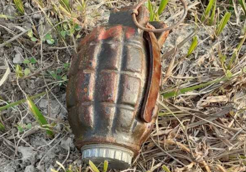 झापाको गौरादहमा बम फेला, बस्तु चराउन गएकी बालिकाले बगानमा भेटिन् बम