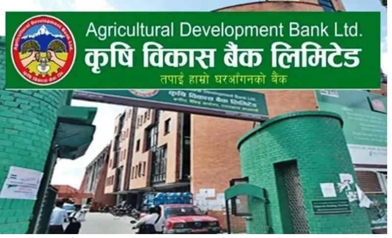कृषि विकास बैंक लुट प्रकरणः बैंकको लहान शाखाका निमित्त प्रमुख पक्राउ