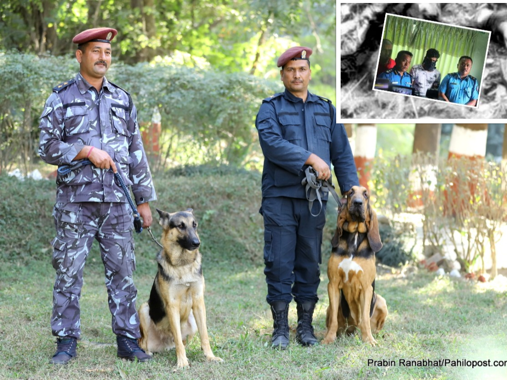 ट्र्याकर कुकुर कुशलः जसले पोखराको बालिका बलात्कार काण्डको रहस्य २४ घण्टाभित्र सुल्झायो 