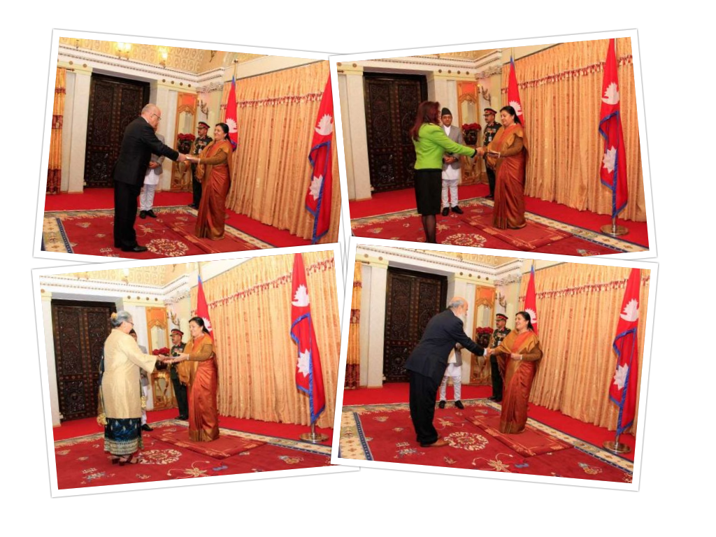 चार देशका राजदूतद्वारा राष्ट्रपतिसमक्ष ओहदाको प्रमाणपत्र पेश