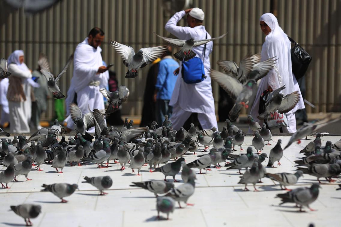 विश्वमा आज : भूकम्पका झट्कादेखि साउदी हजयात्रासम्म