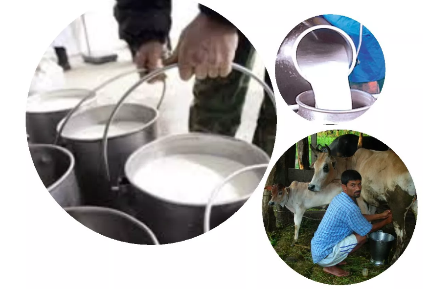अब दूधको पनि बढ्यो भाउ, लिटरमै ६ रुपैयाँ वृद्धि