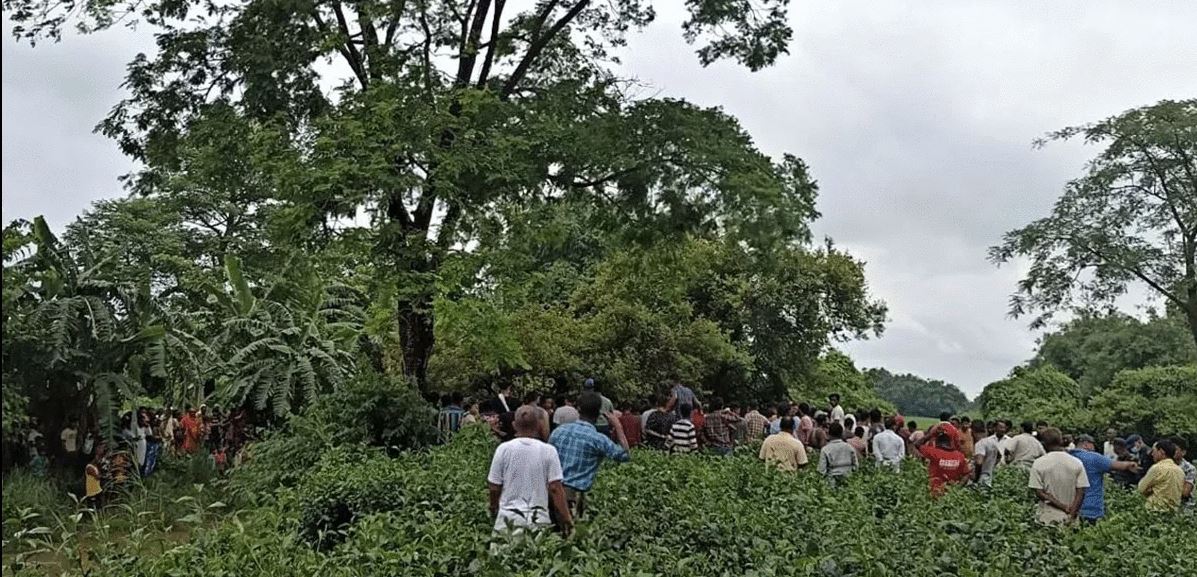 एउटै रुखमा तीन जना किशोरी झुन्डिएको अवस्थामा फेला, शनिवार घुम्न भनेर निस्किएका थिए