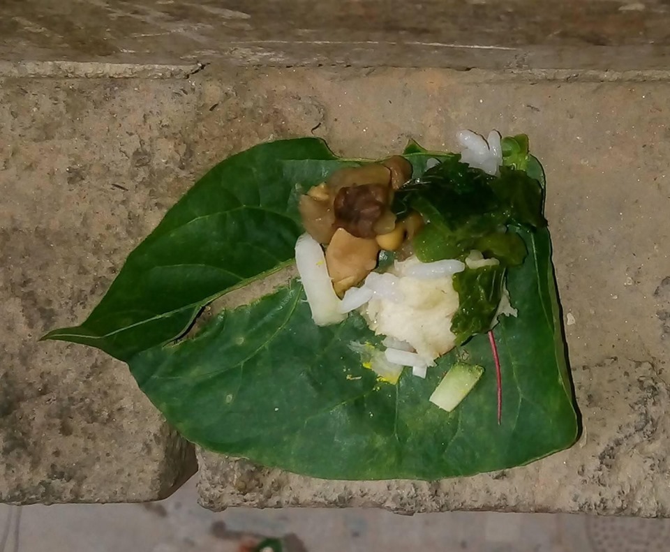 खेतमा अन्न उब्जाउन सहयोग गर्ने भ्यागुताको आज पूजा गरिंदै, खुवाइदैछ भात र क्वाति