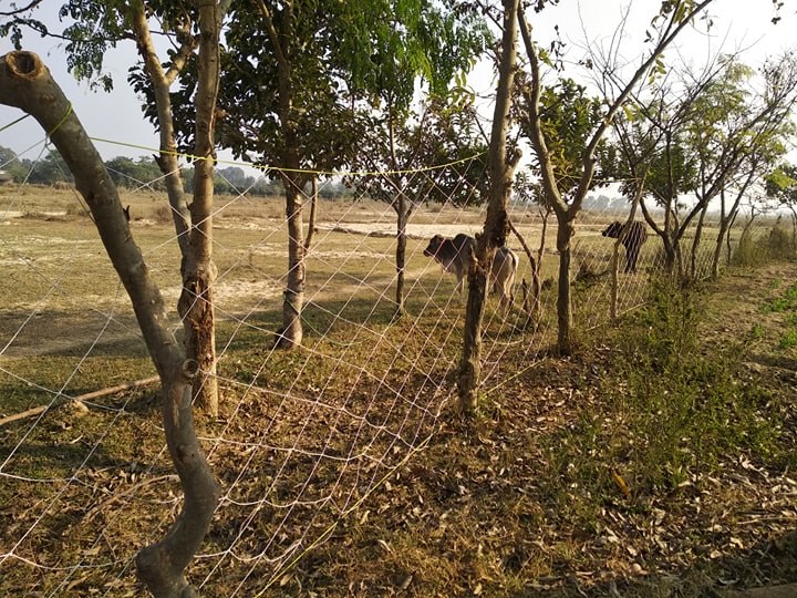 ठोरीमा मानिस रोक्न होइन, जनावरका लागि तारबार : गाउँपालिका अध्यक्ष श्रेष्ठ