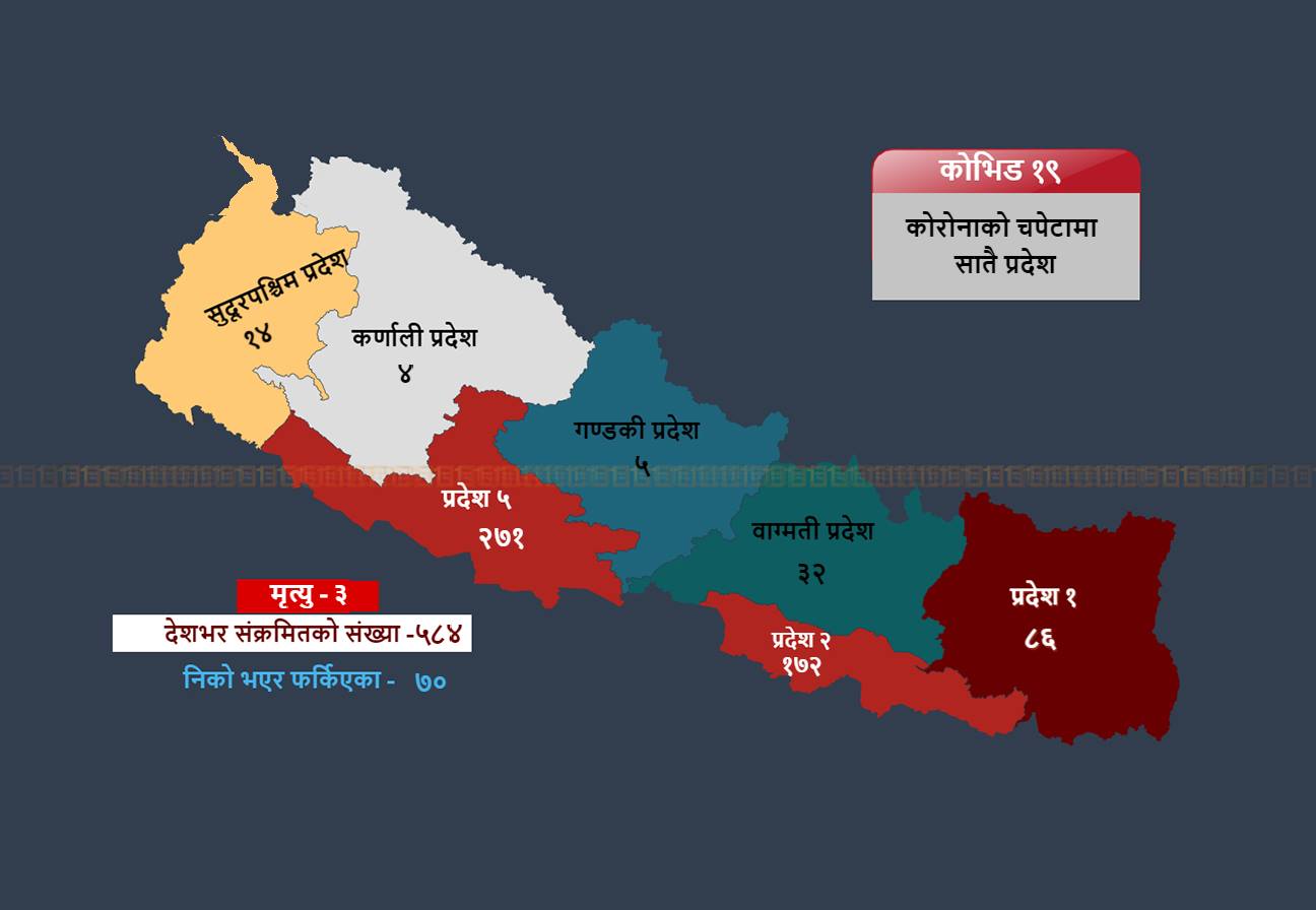 कोरोनाको संक्रमणमा सातै प्रदेश, ४१ जिल्ला, उमेर चाहिँ धेरै २१ देखि ४१ वर्षका