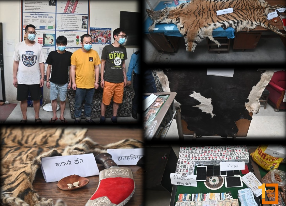 ठमेलमा होटलै खोलेर जुवातास खेलाउने र वन्यजस्तु तस्करी धन्दामा चिनियाँ नागरिक, ४ जना पक्राउ
