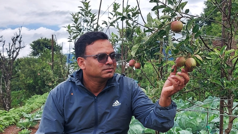 बिरुवा रोपेको एक वर्षमै स्याउ फलेपछि अर्नाकोटका किसान हर्षित