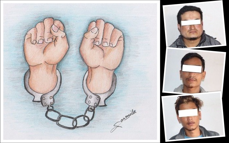 हराएको नागरिकता प्रयोग गरेर कम्पनी दर्ता, विदेश पठाइ दिने प्रलोभनमा ठगी धन्दा