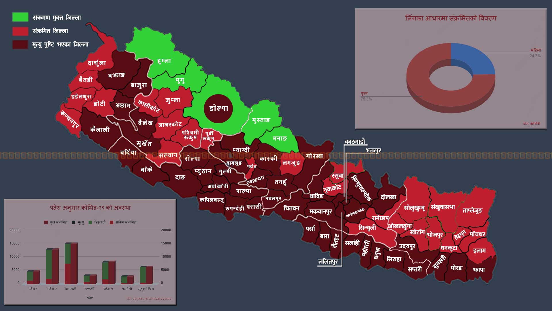 कोभिड-१९ संक्रमणको लैंगिक ग्राफ : नेपालभर २४ प्रतिशत महिला, सबैभन्दा बढी बागमतीमा ३२ प्रतिशत, प्रदेश २ मा १६