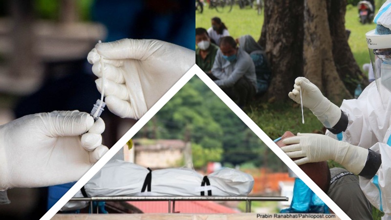 थप ५०२ जनामा कोभिड-१९ संक्रमण पुष्टि, एकै दिन १७ जनाकाे मृत्यु