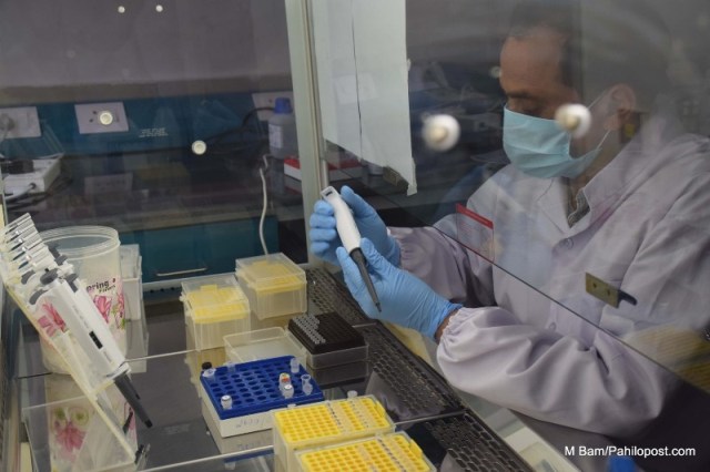 दिनदिनै बढ्दो संक्रमण : ६ सय ४१ जनामा देखियो कोरोना, दुई संक्रमितको मृत्यु