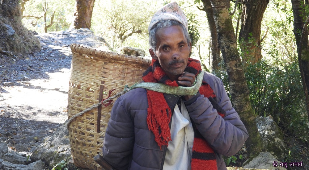 भालुको आतंकले त्राहिमाम् बनेको रामारोशन, ‘द्वन्द्वकालमा भन्दा पनि बढी दुःख पाइयो’