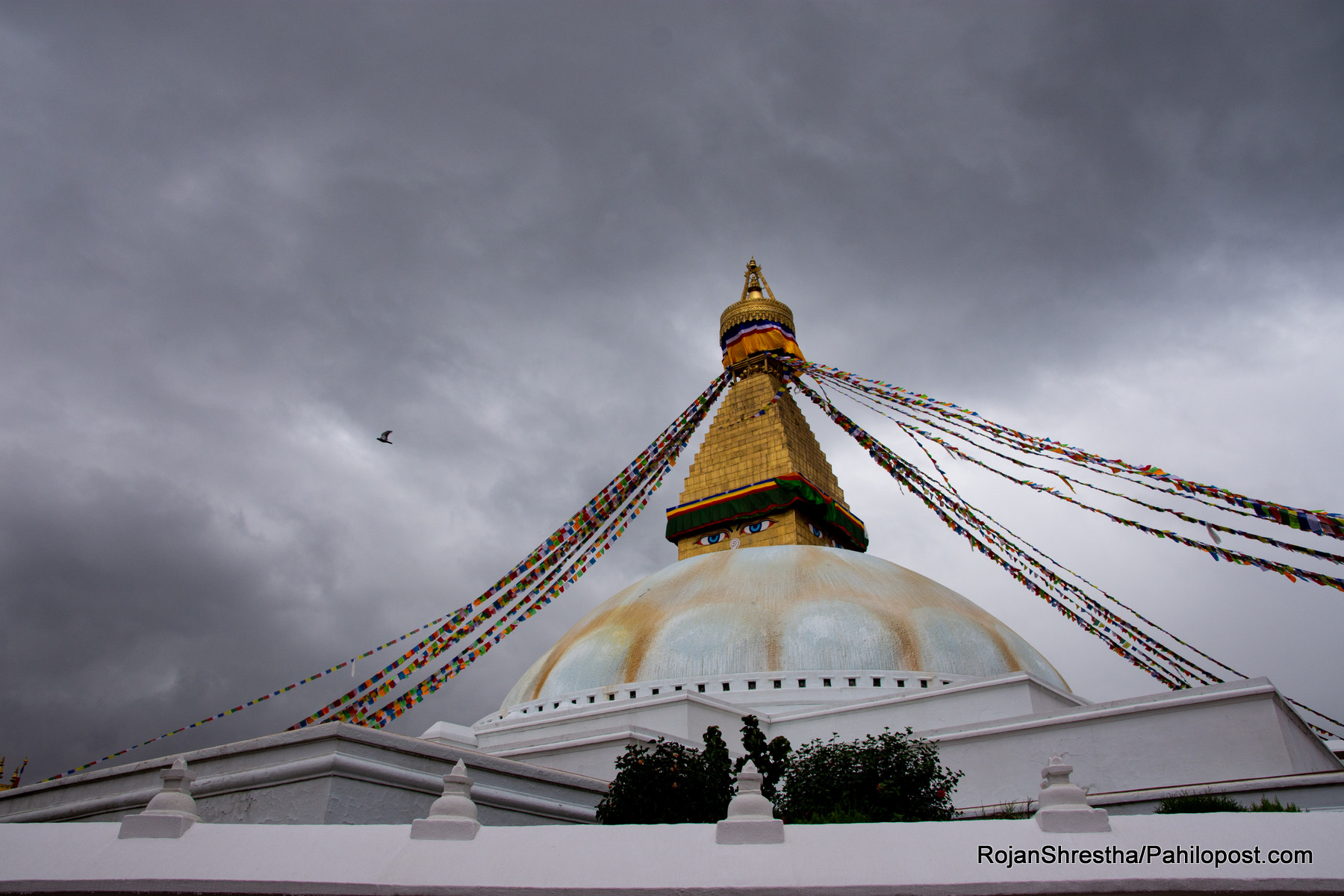 राज्यको नजरमा नपरेको बौद्ध आन्दोलन : 'चिनियाँ लामा'का कारण बौद्धमा कसरी फैलियो अशान्तिको बादल?