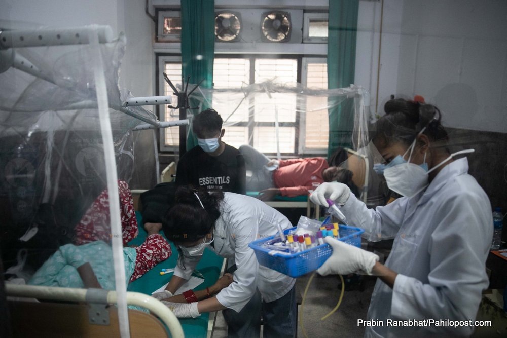 डेंगु संक्रमितले भरिँदै अस्पताल : दुई महिनामा १३ हजार बढीमा संक्रमण, कुन प्रदेशमा कति छन् बिरामी ?