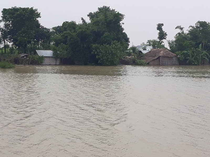 झापामा बाढी : एकको मृत्यु, एक बेपत्ता, ७४९ जना विस्थापित