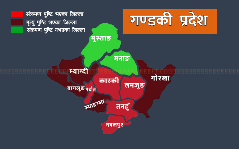 गण्डकीमा कोभिड -१९ : ९२ प्रतिशत संक्रमित डिस्चार्ज ७ मृत्यु