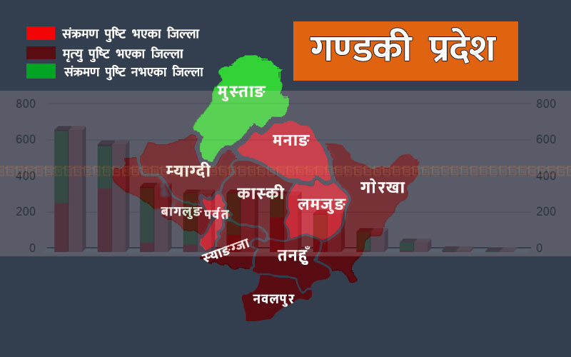 कोरोना कहरले कम प्रभावितमध्येकै गण्डकी : यस्तो छ पछिल्लो अवस्था, कास्कीमा सबैभन्दा खराब स्थिति