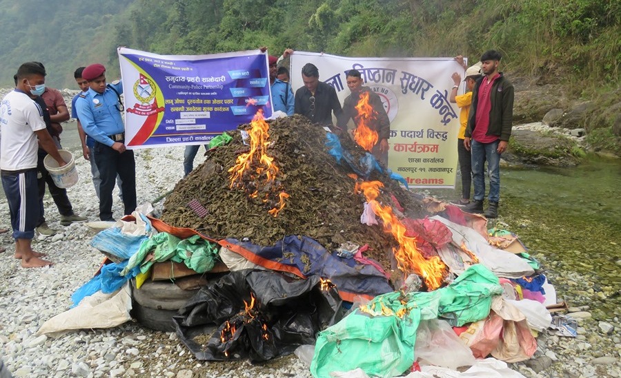 तस्करबाट समातेको लागुऔषध प्रहरीले के गर्छ?