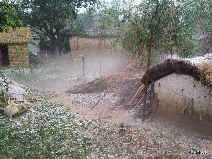 हावाहुरी र असिना-पानीले कालीकोटमा किसानका बालीमा पुर्‍यायो क्षति