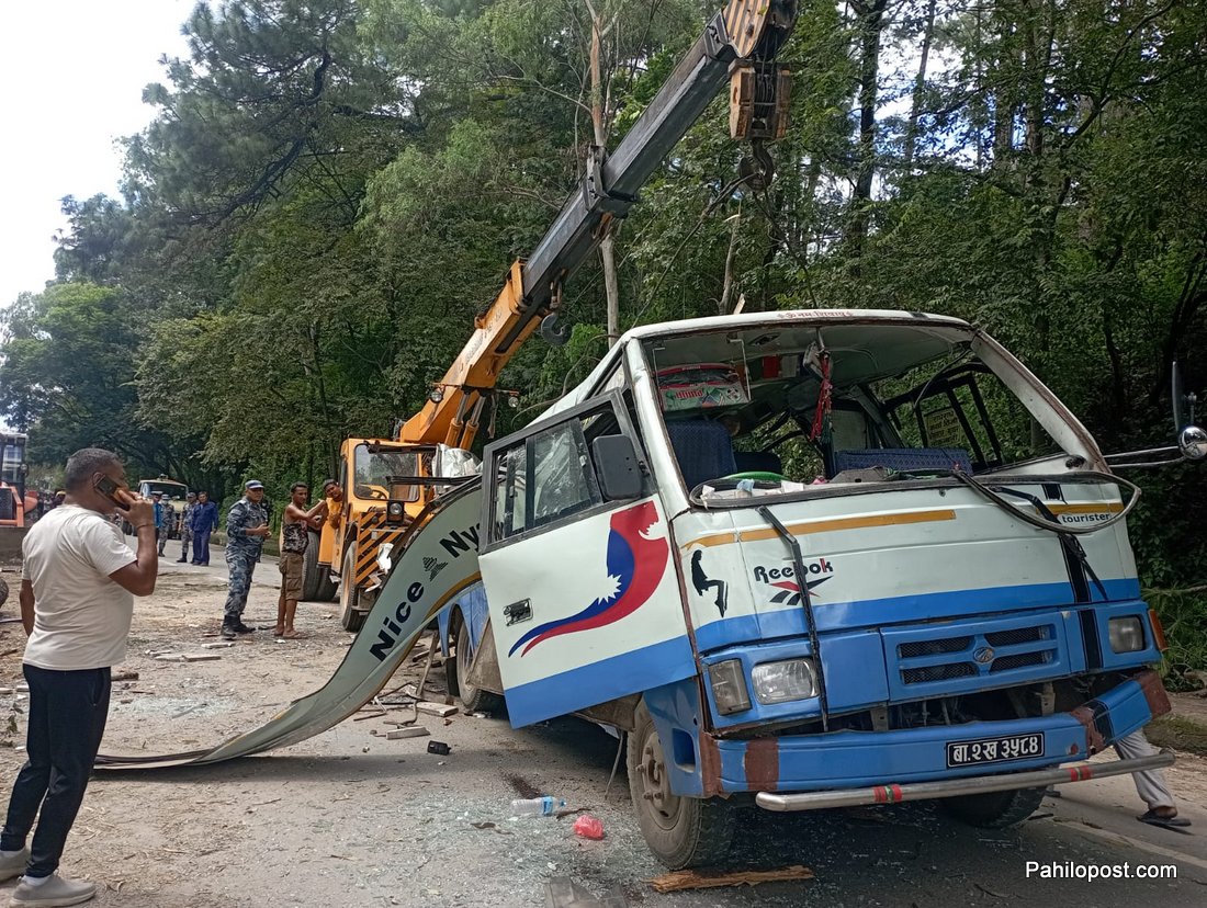 सल्लाघारीमा रुख ढल्दा भएको घटनामा मृत्यु हुने तीनैजनाको पहिचान खुल्यो